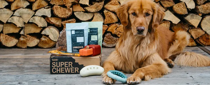 Super Chewer box