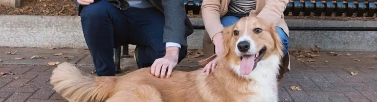 two people sitting outside with their dog
