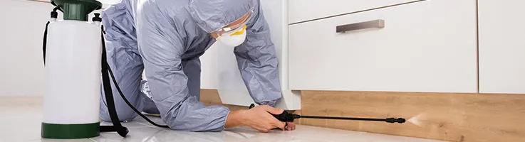 exterminators spraying home