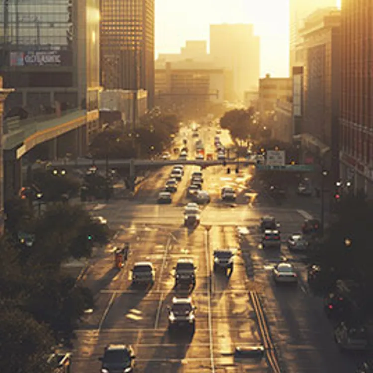 city road with cars at sunset