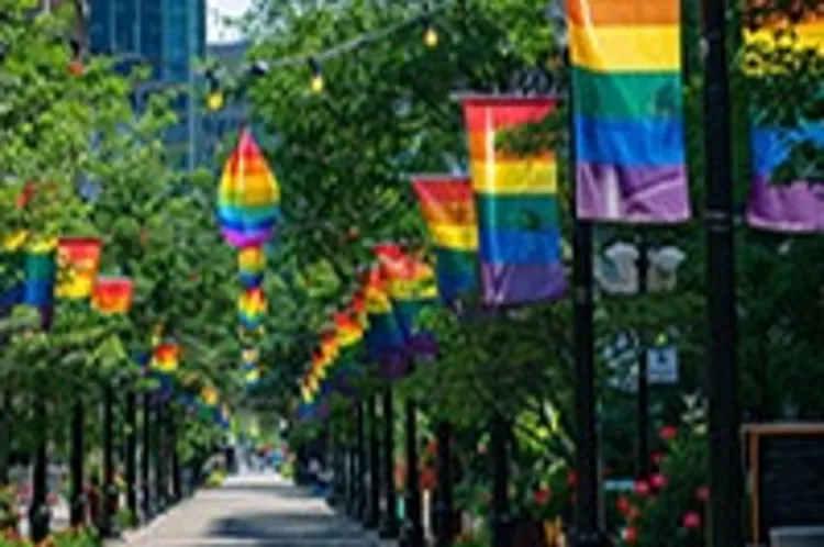 pride flags displayed on a street