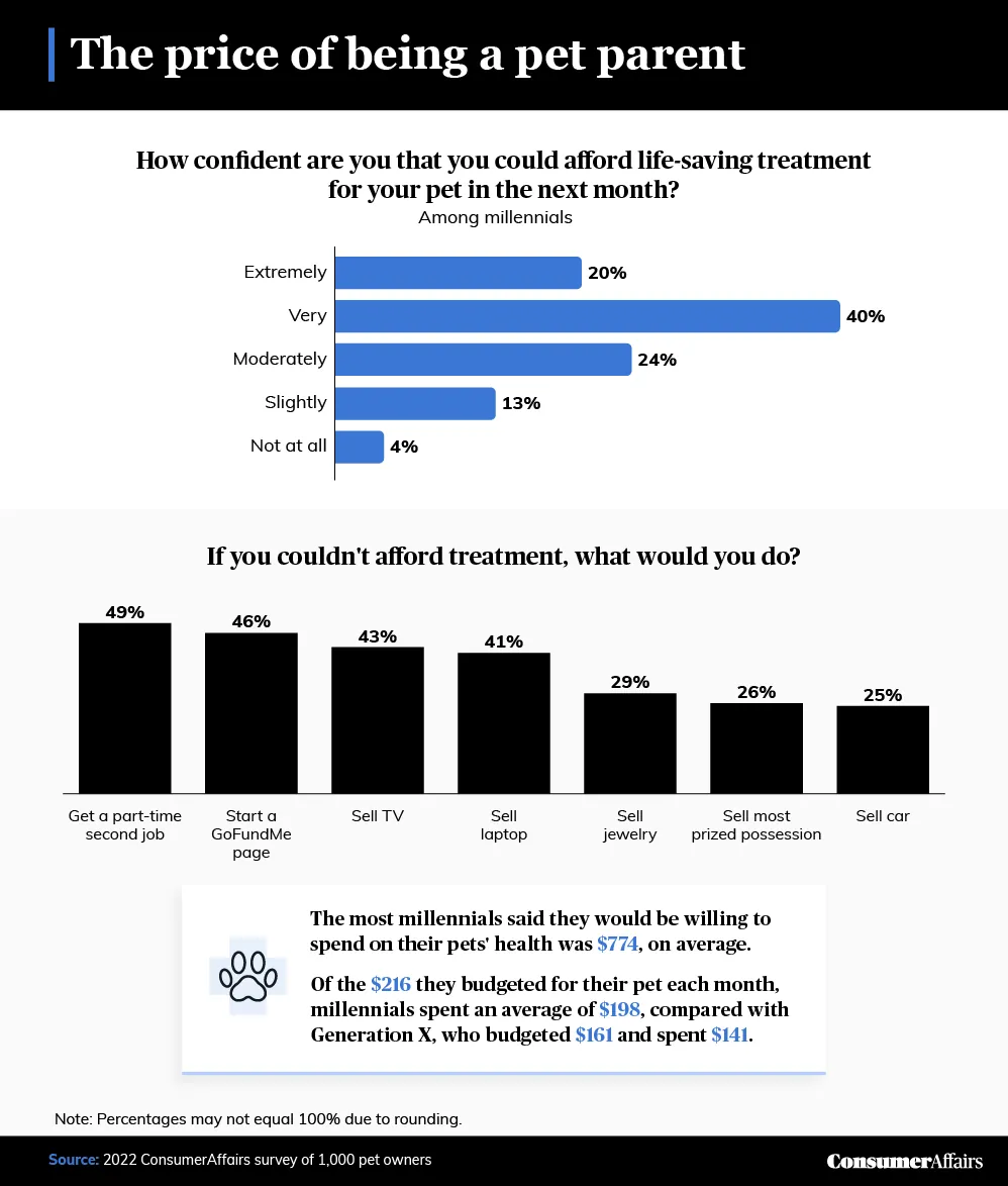 graphic depicting pet health expenses and whether owners could afford them