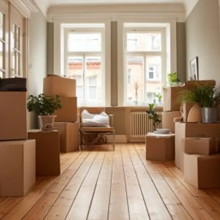 an apartment filled with plants and boxes