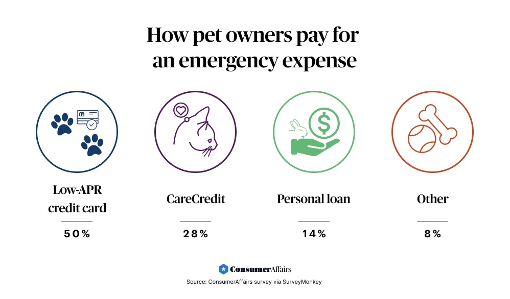 types of pet debt graph