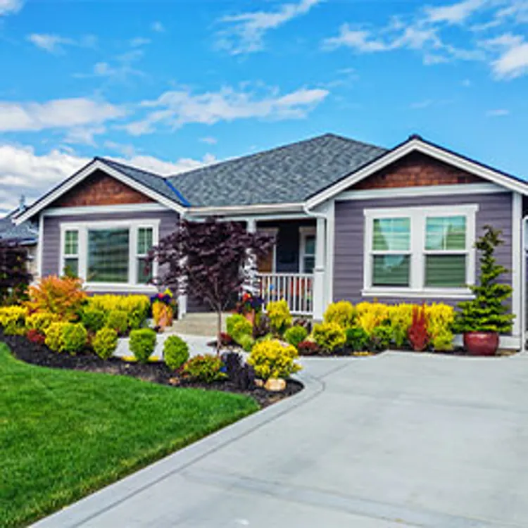 single story home with garden