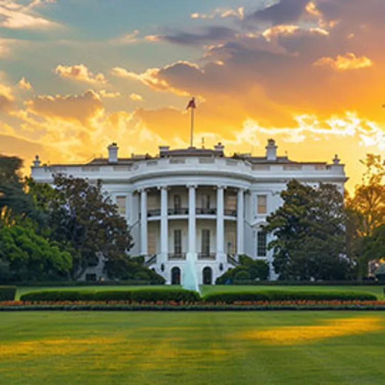 the white house