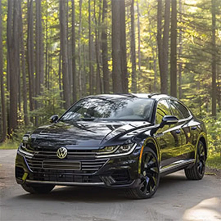 black volkswagen sedan parked on a road lined with tall trees
