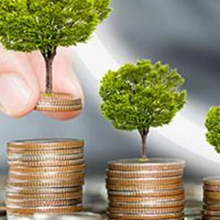man arranging coins with growing tree in increasing stacks