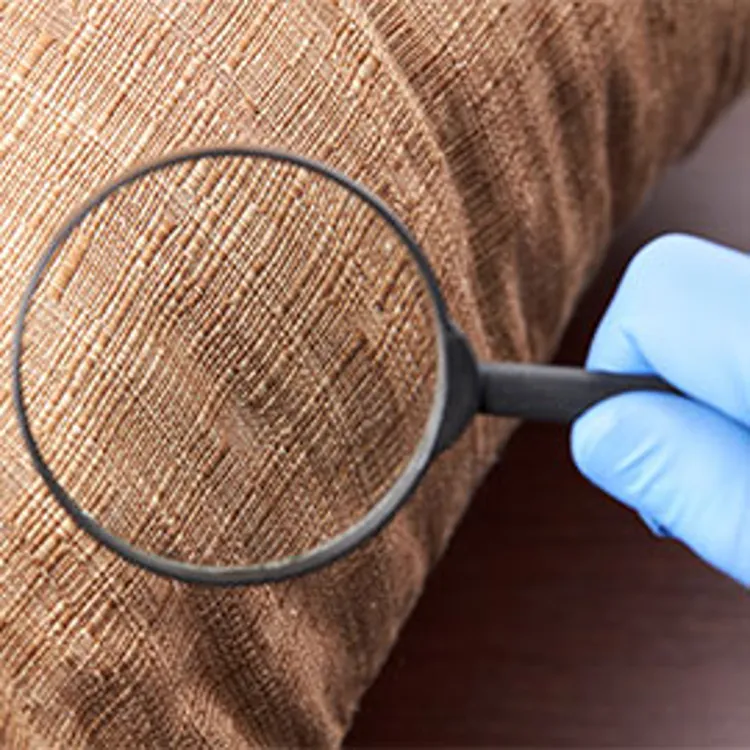 gloved hand holding magnifying glass looking for bedbugs on furniture fabric