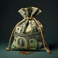 a moneybag with us dollars printed on it