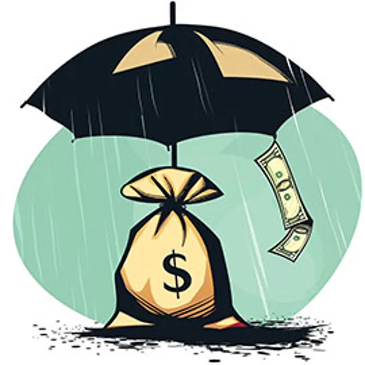 bag of money under an umbrella