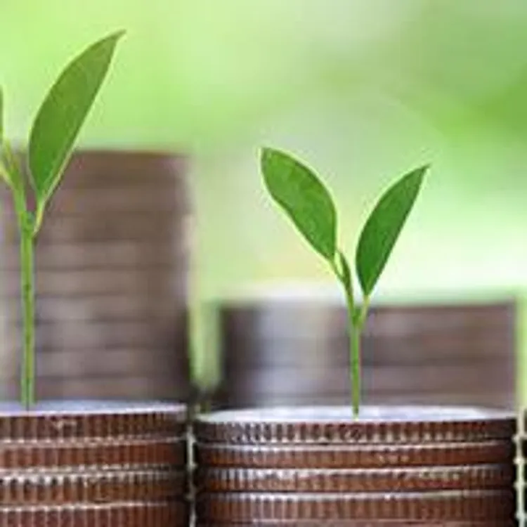 plant sprouts growing on top of coin stacks