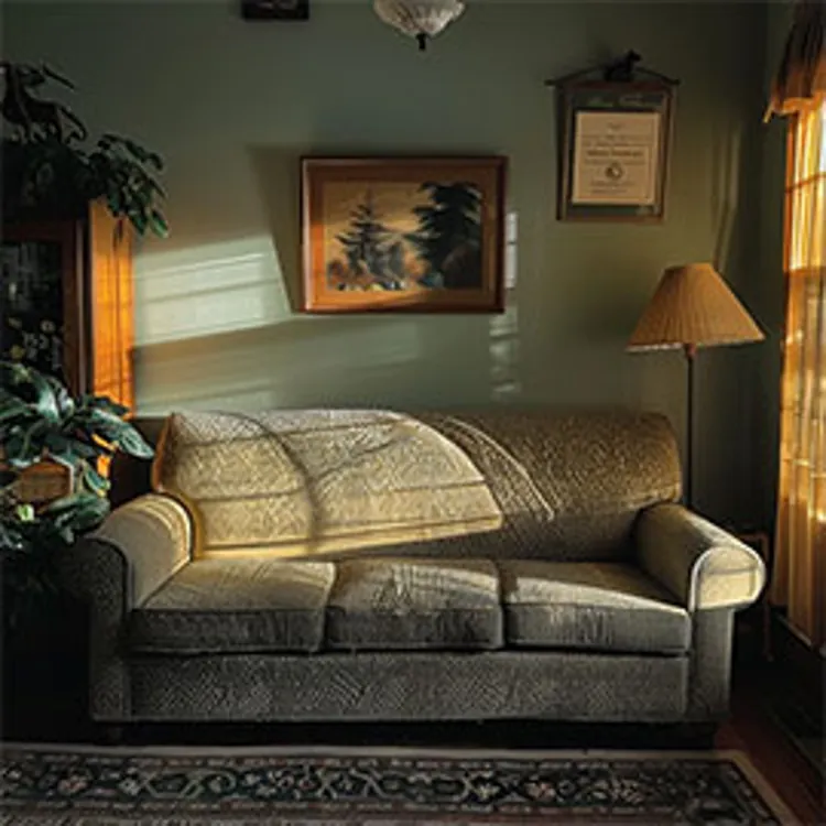 old style living room sofa and lamp