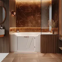 walk-in bathtub in a sleek modern bathroom