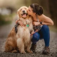 Best Pet Insurance in Tennessee image