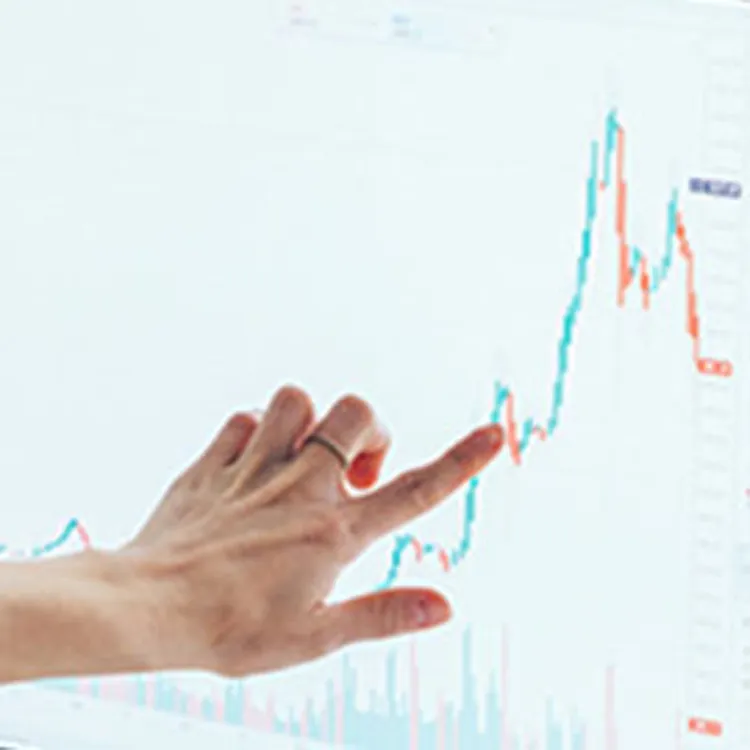woman studying financial market online