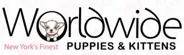 Worldwide Puppies and Kittens Worldwide Puppies and Kittens